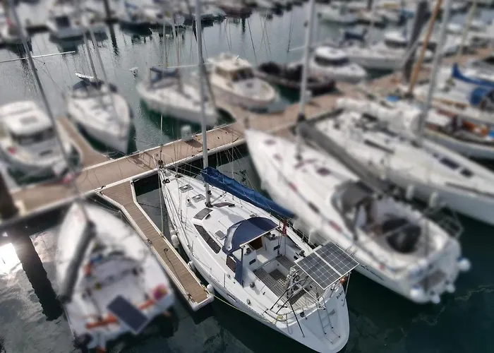 Location Unique : Le Bateau D\'Antoine A Roscoff